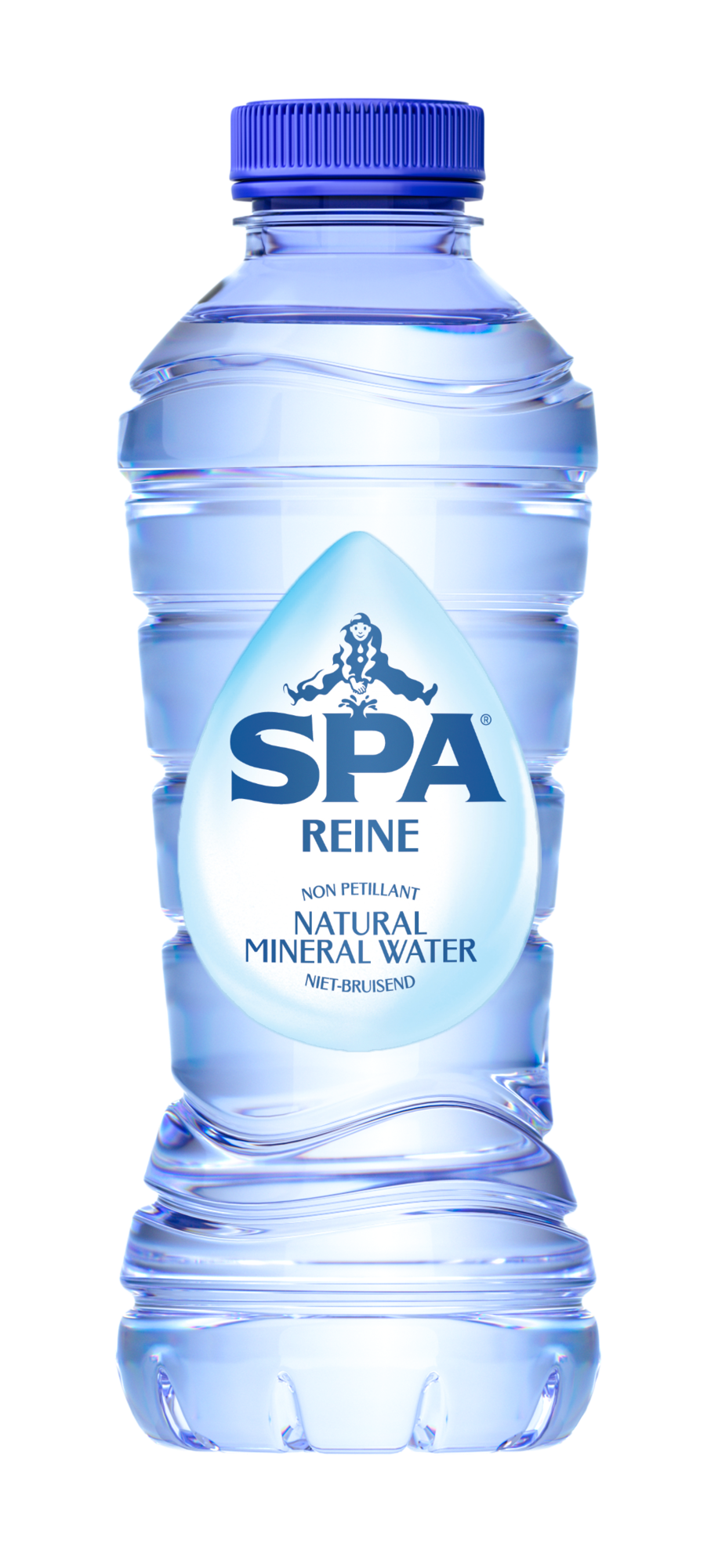 75078 Spa reine blauw pet flesjes 24x33 cl